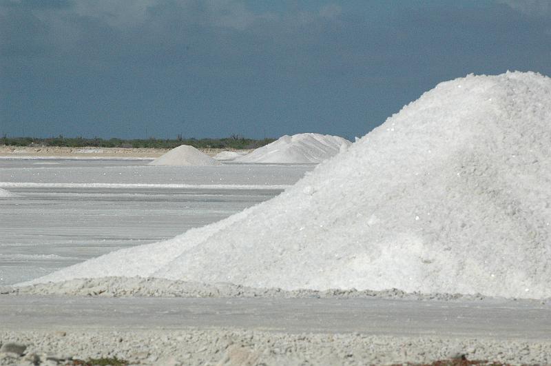 cimes de sel.jpg